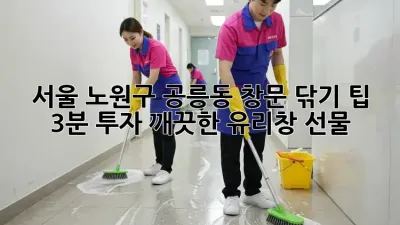 서울 노원구 공릉동 창문 닦기 팁: 3분 투자, 깨끗한 유리창 선물!